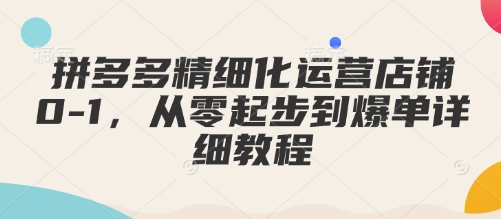 拼多多精细化运营店铺0-1，从零起步到爆单详细教程